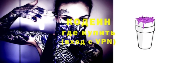 прущие грибы Белоозёрский