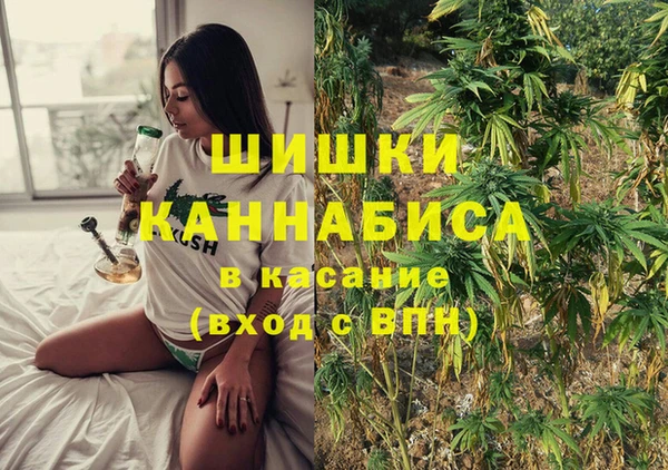 прущие грибы Белоозёрский