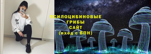 прущие грибы Белоозёрский