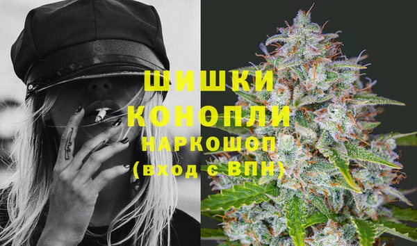 прущие грибы Белоозёрский