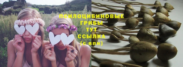 прущие грибы Белоозёрский
