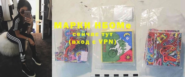 прущие грибы Белоозёрский